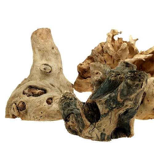 Floristik24 Természetes fagyökerek 8cm - 10cm 500g