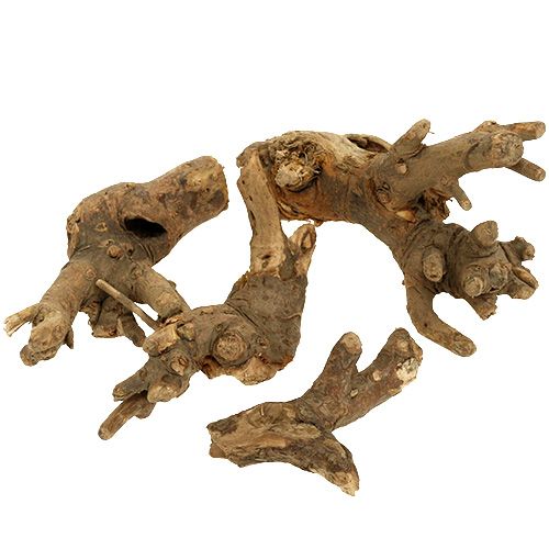 Floristik24 Fagyökér természetes keverék 500g