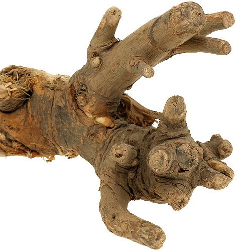 Floristik24 Fagyökér természetes keverék 500g