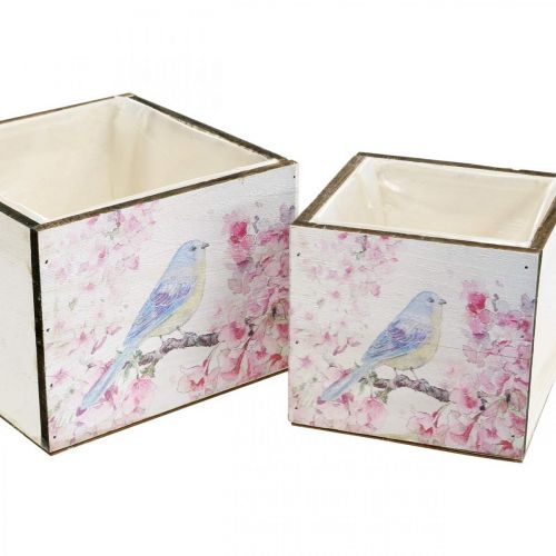 Floristik24 Növénydobozok madárlenyomattal, ültetőgép, rugó, dekoratív doboz vintage megjelenéshez L17/15cm H13/11cm 2 db-os készlet