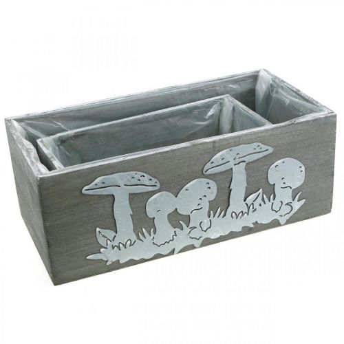 tételeket Fa doboz szett gombagomba, őszi díszek, kerti díszek, növényes dobozok L40 / 30cm, 2 db