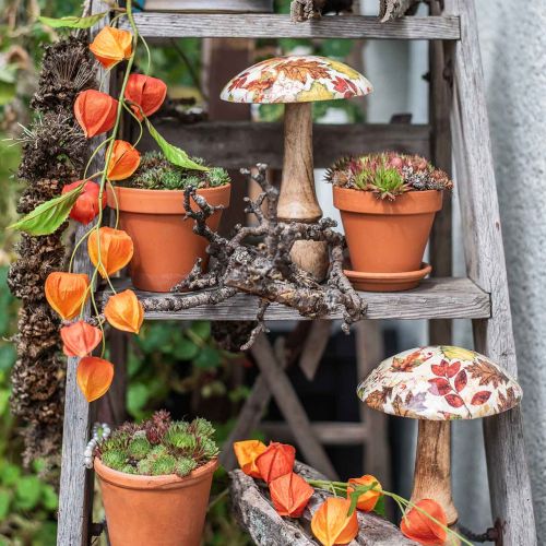 Floristik24 Fa gomba deco őszi levelek fehér, színes őszi dekoráció Ø13cm H19cm