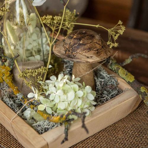 Floristik24 Fa gomba mintás deco gomba natúr, arany fa deko Ø10cm H13cm