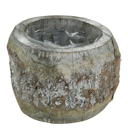 Floristik24 Facserep ültetésre Fehér mosott Ø14cm