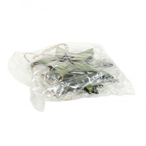 tételeket Fa csillag motívumokkal zöld 11cm 6db