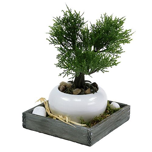 Floristik24 Szürke fa tálca 14cm x 14cm x 3cm 5db