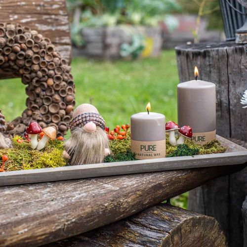 Floristik24 Fatálca szürke 57cm x 17cm