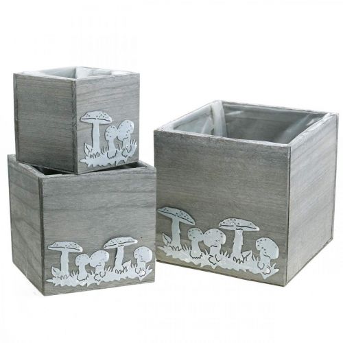 tételeket Fa gombás kocka, őszi díszek, növényes doboz 20/16/12 cm, 3 db-os készlet