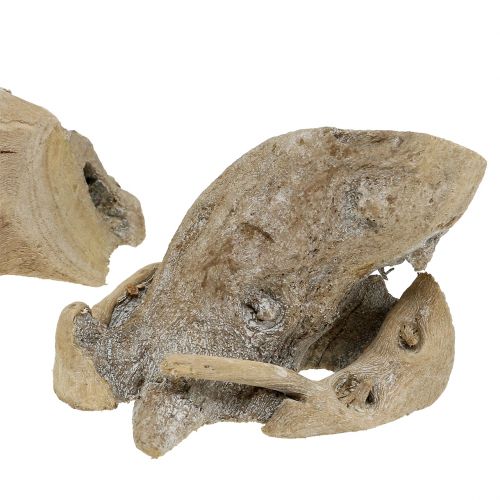 Floristik24 Fagyökér szürke mosva 500g