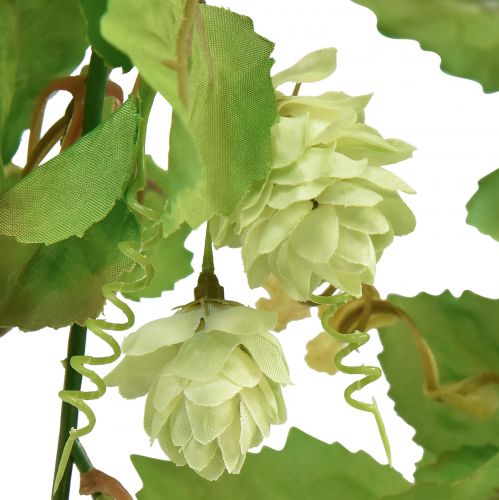 Floristik24 Levélfüzér komlófüzér zöld mű L180cm