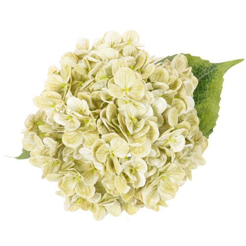 Műhortenzia virág hosszú szárral és levelekkel, 60cm | Floristik24.hu