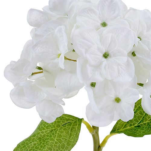 tételeket Hortenzia 35 cm fehér