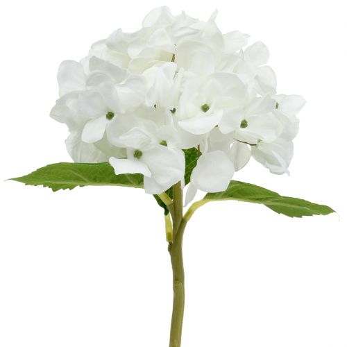 Floristik24 Dekoratív hortenzia fehér 36cm