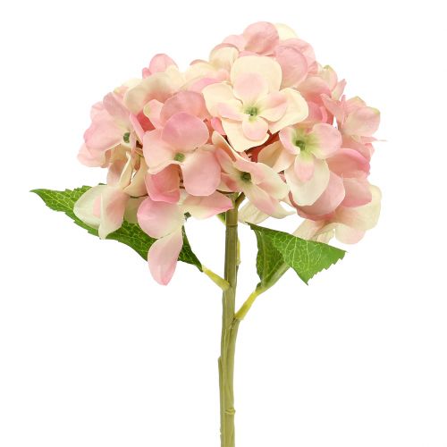 Floristik24 Hortenzia rózsaszín, krém 36cm