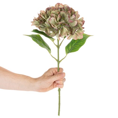 Műhortenzia díszvirág szárral, 46cm | Floristik24.hu