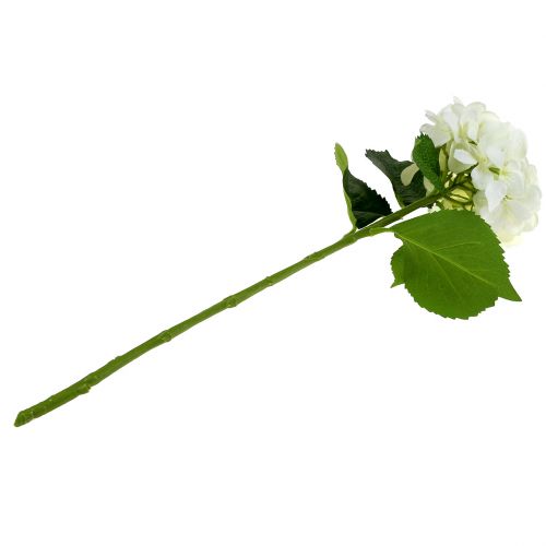 Floristik24 Hortenzia fehér L54cm 1db