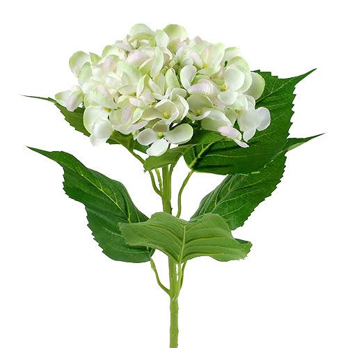 Hortenzia fehér-zöld 60cm | Floristik24.hu