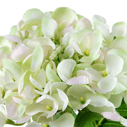 Hortenzia fehér-zöld 60cm | Floristik24.hu