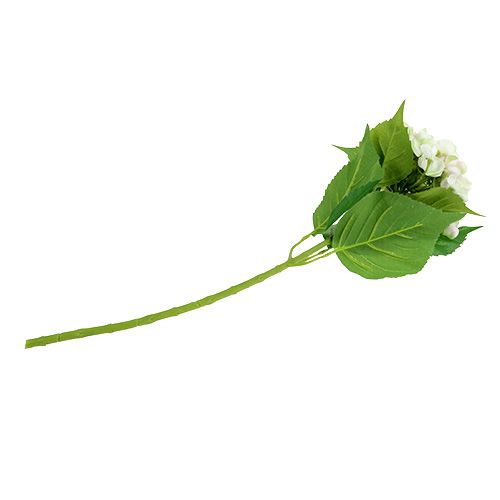 Hortenzia fehér-zöld 60cm | Floristik24.hu