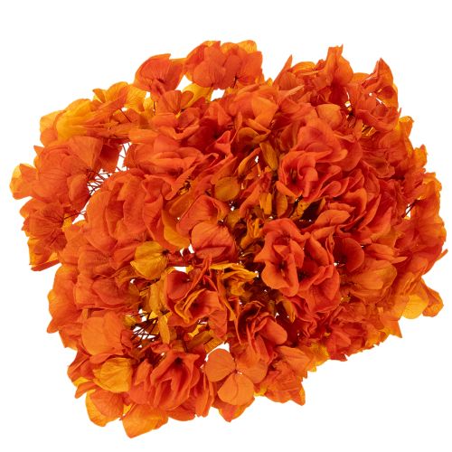 Hortenzia, tartósított és festett, nagy virág hosszú szárral, 60 cm | Floristik24.hu