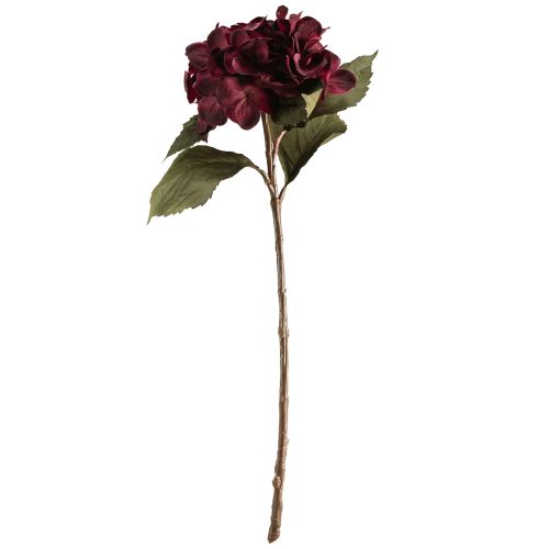 Floristik24 Hortenzia művirág Bordeaux 52cm