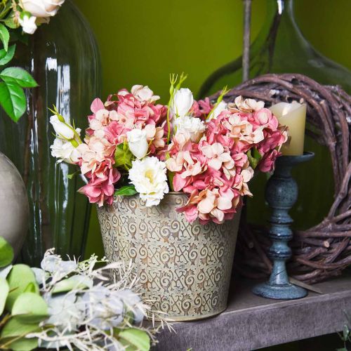 Floristik24 Hortenzia bézs/ rózsaszín 35cm