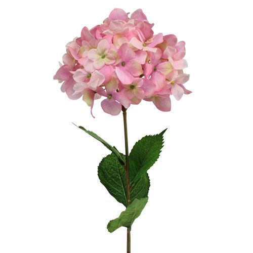 Floristik24 Hortenzia rózsaszín 68 cm