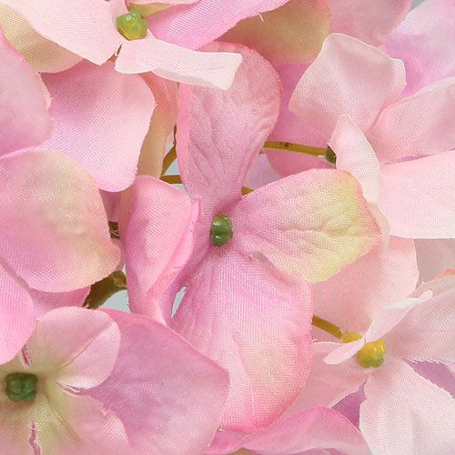 tételeket Hortenzia rózsaszín 68 cm