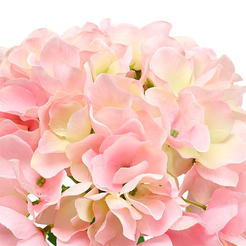 tételeket Hortenzia rózsaszín L 70cm