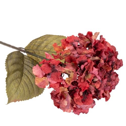 Műhortenzia virágzó ág, nagy virág, 74cm | Floristik24.hu