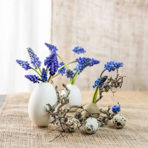 Floristik24 Csirke tojás fehérje 10 db