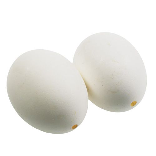 Csirke tojás fehérje 10db