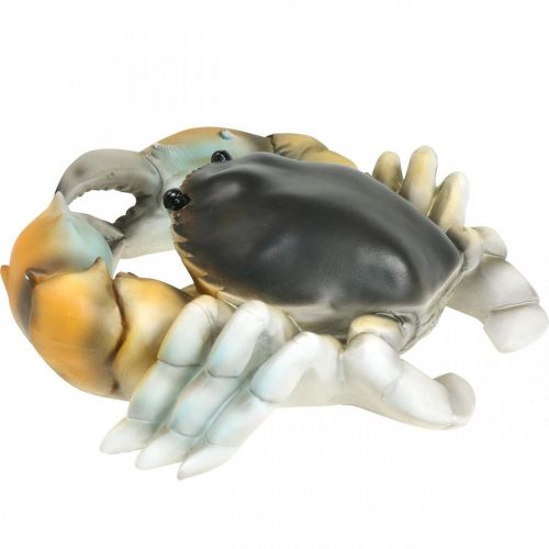 Floristik24 Tengeri lény, tengerparti rák, tengeri dekoráció narancssárga-barna 31×25cm