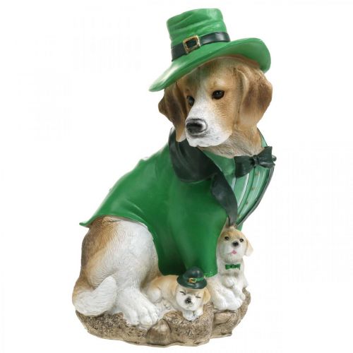 Floristik24 Beagle sapkás Szent Patrik napi kutya öltönyben Kertdísz kopó 24,5 cm