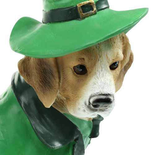tételeket Beagle sapkás Szent Patrik napi kutya öltönyben Kertdísz kopó 24,5 cm