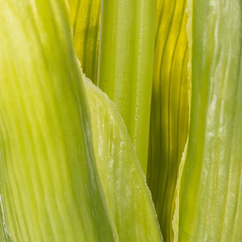 tételeket Jácint Real-Touch Pink 40cm