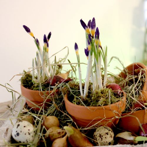 tételeket Agyag virágcserép Ø9cm magas 8cm 10db