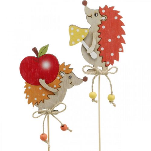 Floristik24 Virágpálcika sün, fa díszítéssel, őszi figura H9,5cm L32cm 12db