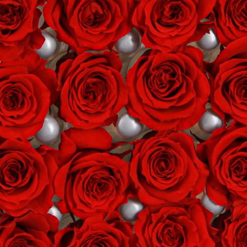 tételeket Infinity Roses valódi virágok mini rózsafejek piros Ø3cm 16 db