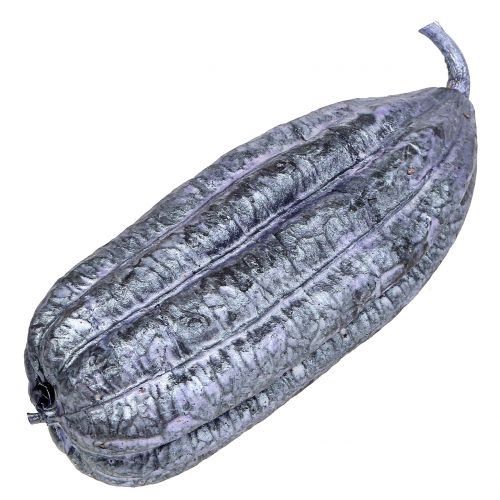 Floristik24 Luffa Fruit Violet 14cm – 20cm 10 db