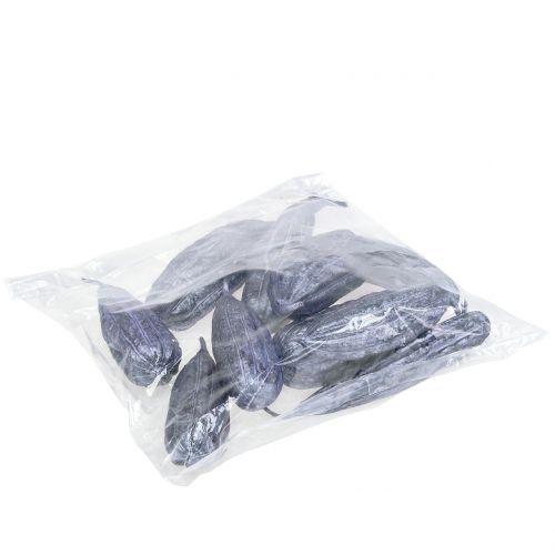 Floristik24 Luffa Fruit Violet 14cm – 20cm 10 db