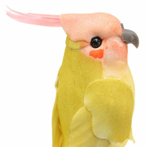 Floristik24 Dekoratív kakadu fémhuzallal zöld sárga H13cm 4db