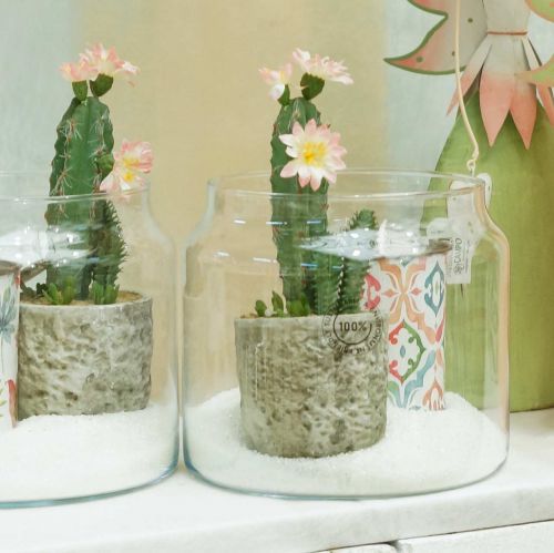 Floristik24 Kaktusz cserépben virággal 21cm fehér