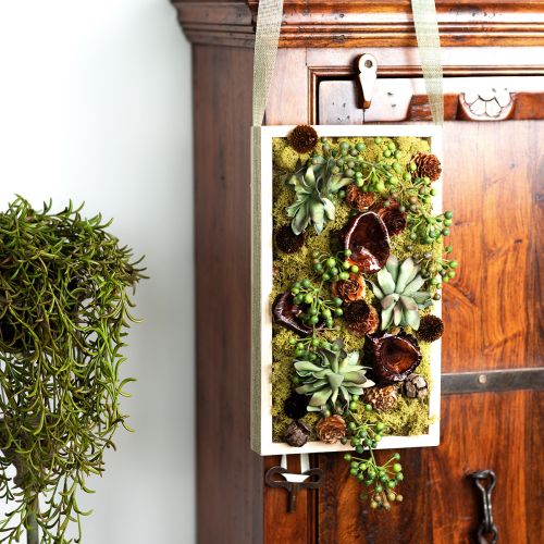 Kalix Gomba Natúr Lakkozott Száraz Gomba Dekoráció Nagy 50 db