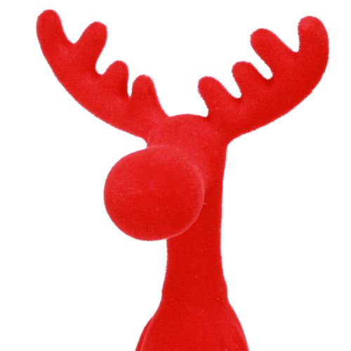 Floristik24 Peremzsámoly, jávorszarvas díszítés, karácsonyi, pelyhesített, 31 cm, piros, 3 db
