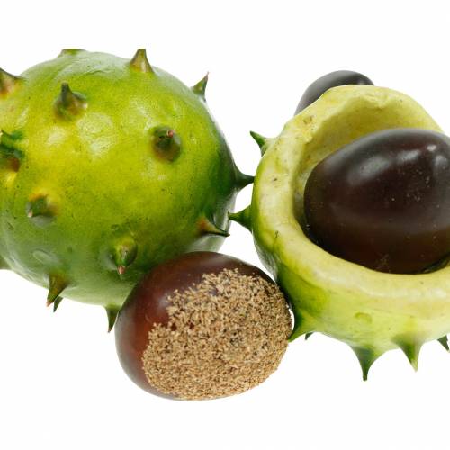 Floristik24 Deco gesztenye hálózöldben 24db