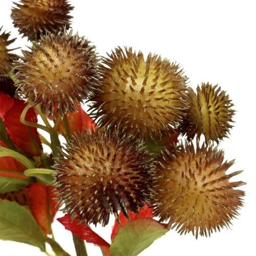 Floristik24 Gesztenye csákány barna 32cm