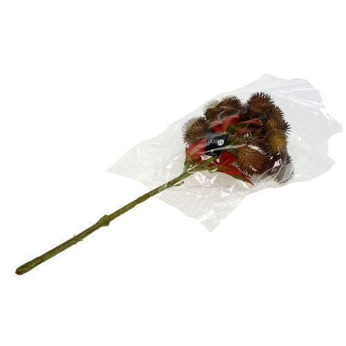 Floristik24 Gesztenye csákány barna 32cm