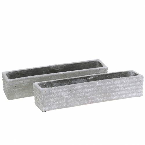 Floristik24 Növénydoboz beton világosszürke 30x7cm H6,5cm 2db