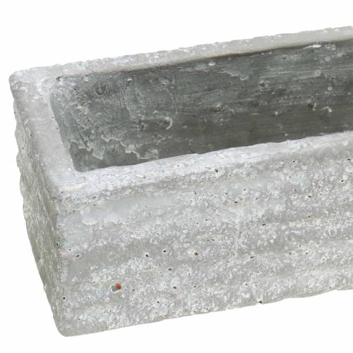 Floristik24 Növénydoboz beton világosszürke 40x8cm H6,7cm